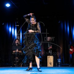 1er Festival Flamenco Montpellier Métropole