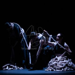 COMITRE Paula - Parcas