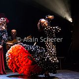 Carmen Flamenco_20170721_054 CPR.jpg
