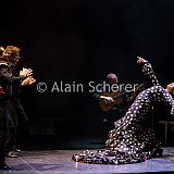 FLAMENCO VIVO - Carmen Flamenco