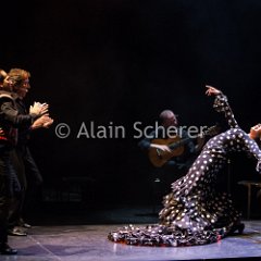 FLAMENCO VIVO - Carmen Flamenco