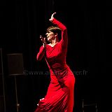 Flamenco en_el_Recreo_20130109_089 CPR.jpg