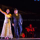 Los Ingredientes_del_Arte_Flamenco_20140809_070 CPR.jpg