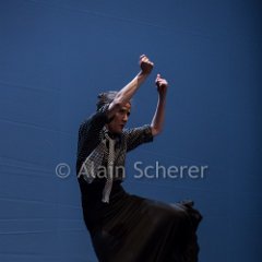 Bach Flamenco 20160117_016 CPR.jpg