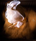 CharloteCarceller_20210210_9409_CPR