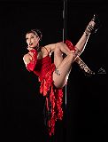 FreeBird_20231024_161