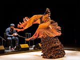 Depende_El_Momento_20140726_046