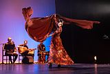 DialogoDeMujeres_202404121_053_web