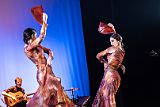 DialogoDeMujeres_202404121_080_web