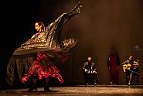FigurasFlamencas_20240314_020_web