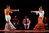 Flamenc'Ambos_20121114_077