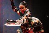 RéunionFlamenca_20231111_058_web