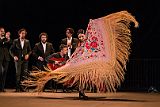Rosa_Metal_y_Ceniza_20140724_043
