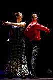 Sello_Flamenco_20090321_074