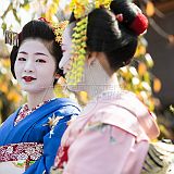 Maiko Gion_20121108_022 CPR.jpg