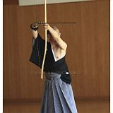 Tokyo 20100425_Taikai_Indiv 7D0691.jpg