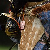 Yabusame Takeda_20131103_031 CPR.jpg