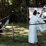 Yabusame Takeda_20161103_015 CPR.jpg