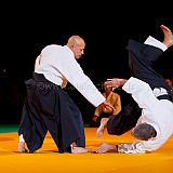 Doshow 20111007_Aikido 017.jpg