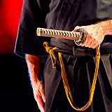 Iaido