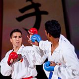 Doshow 20111007_Karate_003 CPR.jpg