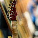 Salon Lutherie_20140927_018 CPR.jpg