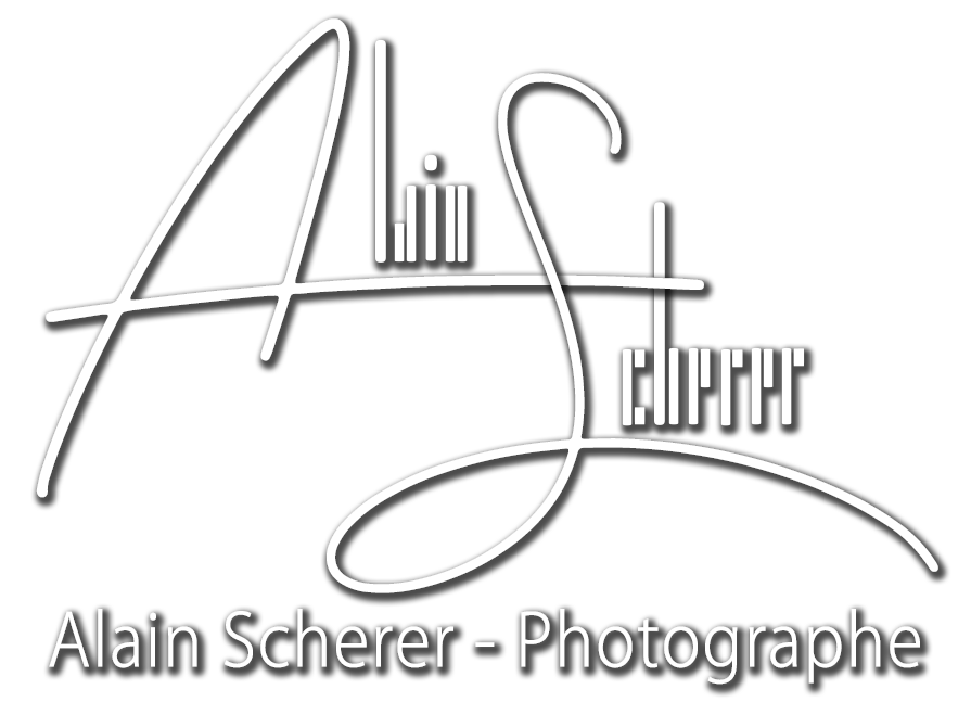 Logo Alain Scherer